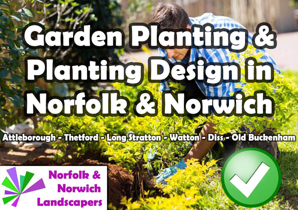 Garden planting & Planting services in Norfolk & Norwich